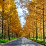 25年10月アクセスレポ