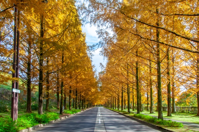 25年10月アクセスレポ